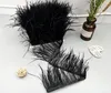 8-10 cmダチョウの羽毛の布の服のイヤリングアクセサリーアクセサリーカラーダチョウ羽毛布ベルトEEA519