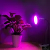 Свет роста растений SMD 2835 светодиодный завод света теплица лампа AC85-265V E27 / E26 Light для фруктов и овощей