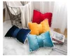 Varies of Hot Sale Explosion Style European Butterfly Waist Pillow Case Four Seasons General Office Cheap Pillow Wholesale 42x29cm