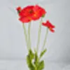 6Pcs/lot High quality artificial flower plastic poppy silk flowers for home decoration wedding decor party supplies