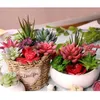 84 Styles Wholesales artificiels Succulentes décoration de mariage Décoration d'intérieur en PVC Centerpieces Plantes artificielles Faux réel Touch Fleurs