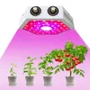 COB LED成長光1000Wのフルスペクトル二重調節可能なスイッチ成長ランプは屋内の温室効果植物が導きましたLEDライト