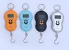 Portable Hanging 50Kg /10g LCD Digital Blue Backlight Fishing Pocket Scales Luggage Hook Scale