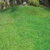 2019 nouveau p pulvérisateur liquide jardin HydroMaosues système de semis domestique dispositif de pulvérisation de pelouse herbe soins de la pelouse outils de jardin 8302676