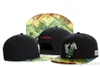 Cayler Sons #makeitrain money dollar Snapback chapeaux Casquettes de baseball en plein air Bone gorras hombre mode Casquette Chapeu