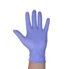 Disposable Nitrile Gloves Rubber Factory Salon Household Rubber Garden Protective Gloves Nitrile Latex Rubber Gloves 100PCS/box