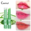 10pcslot brand Nutritious 99 ALOE VERA Natural Lipstick Temperature Change Color Jelly Lip stick Long Lasting Moistourizing Lips1501775