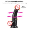 Gode Cystal de Masturbation féminine, 10 vitesses de Vibration, Rotation, simulation de pénis, chargement USB, jouets sexuels pour femmes J1734