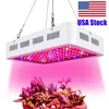 1000W Wachstumslampe Vollspektrum mit doppelten Chips 10w Züchten Glühlampen für Gewächshaushydroponische Indoor-Pflanzen wachsende LED-Leuchten