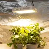 Wenyi Grow Light 1000w Samsung 5730 3500K LED Full Spectrum Lamp Indoor voor Greenhouse Hydroponic Groeiende Tuin Bloei