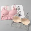 Canotte Canotte Liva Girl Reggiseno di pizzo Canotta da donna Sexy Lingerie Push Up Reggiseni imbottiti senza cuciture senza fili Camis Top1