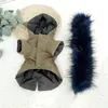 Vestiti per cani di pelliccia sintetica di lusso Inverno caldo cucciolo di chihuahua Abbigliamento per cani di piccola taglia Cappotto per Bulldog francese Y200330245V
