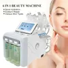 6in1 H2 O2 Hydra Dermabrasion Aqua Peel RF Bio-Lifting Spa Facial Hydro Water Microdermabrasion Facial Machine Cold Hammer Oxygen Spray