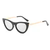 Neue Markendesigner-Sonnenbrille, High-End-Kitten-Eye-Rahmen, hochwertige Herren- und Damen-UV400-Schutzbrille im großzügigen Stil mit Box