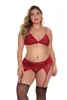 Venda quente lingerie sexy renda push up conjunto de roupa interior meia xícara sutiã + calcinha + liga para mulher