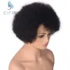 Krótkie afro perwersyjne koronkowe koronkowe peruki dla kobiet Brazylijskie remy ludzkie włosy peruki wstępnie wybielone bielone węzły eifini koronkowe bob2642763