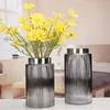 High-end European Style Glass Vases Home Decoration Decorative Tabletop Vase High Quality Nordic Vases Gifts