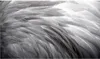 16d feather wallpapers modern living room TV background wall paper sofa bedroom mural seamless Wallpaper