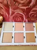 Vente chaude Cosmétiques Violet Voss Rose Or Surligneurs Maquillage 6 Couleurs Highlight Palette DHL livraison gratuite