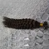 Virgin Mongolian Hish Hair Afro kinky Curly 100s keratine u tip tip extension 100g 10quot26quot extensions to the caps6600156