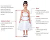 3D Çiçek Aplike Dantel Şampanya Kızlar Pageant Elbiseler 2020 Cap Kollu Jewel Boncuklu Kristal İki Katmanlar İlk Communion Çiçek Kız Elbise