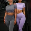 2 pièces ensemble femmes Yoga Fitness ensemble sans couture respirant Yoga pantalon Leggings dessus de chemise sport survêtements femmes Gym4855751