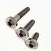 titanium screws bolts