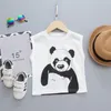 Clothing Sets Summer Baby Boys Girls Cartoon Panda Vest Kids Cotton Print Tops + Shorts Children Sportswear Sets1