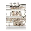 Professionell Jupiter JCR520S BB Cornet Sliver Plated Musical Instrument High Quality With Case Gloves 4290362