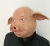 schwein gesicht halloween maske