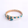 Fashion Brand Jewelry Lady Brass Mother of Pearl Turquoise Single Circles Snake Snakelike 18K Gold Wedding Engagement Open Bracele353Y