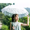 Lolita Women Podróży Parasole Romantyczny Imitacja Koronki Przezroczysty Cute Kot Długie Rękojeść Rain Snow Parasole Kreatywne Princess Parasol Gifts