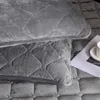 Luxurious Coral Warm Bed Covers Crystal Velvet Mattress Covers Supplier Thickened Bedsets Protective Cover