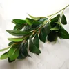 Vegetazione finta Peperomiate Trophylla Ramo di un albero Pianta Steli di ulivo verde artificiale 90 cm per Home Office Wedding Road Leading Decoration