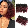 Brasilianer Deep Curly Hair Weave Bündel menschliches Haar Bundles Ombre Burgund 3pcsset für volle Kopf 810 Zoll Remy menschliches Haar Extensi7669366