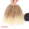 Marlybob Crochet Hair 8 Inch Short Braiding Hair Afro Kinky Curly Crochet Braids Ombre Synthetic Hair Extension for Women LS05