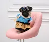 Pet dog transforming clothes funny clothes Teddy Bichon standing clothes short funny entertainment clothing general casual transfiguration s