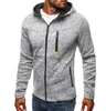 Ford Mustang Men New Sports Disual Wear Hoodies Zipper Fashion Tide Jacquard Fall Sweatshirts Spring Autumn Jacket Coat TrackSuit 5762398