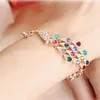 Charme de mode alliage d'or coloré paon Bracelet Mujer arc-en-ciel bracelets cristal bijoux Braclet pour femmes bracelets cadeaux