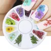 12 Tipos 3D Flores secas Nail Art Decoração DIY Beleza Pétala Floral Decalque Adesivo Seco Flor Gel Polonês Acessórios