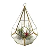 Creative Waterdrop Design Hanging Glass Terrarium Planter Modern Geometric Succulent Pot Diamond Shape Artistic Centerpiece Flower Vase