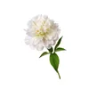 Dropshipping Peony Essential Oil Berömd Brand Akarz Natural Aromatherapy 10ml