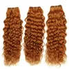 Medium Auburn Water Wave Peruvian Human Hair Buntles Erbjudanden # 30 Ljusbrun våt och vågigt Human Hair Weave Bundlar Auburn Haft Weft Extensions