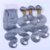 Grey Human Hair Bundles with Lace Closure 4x4 Silver Gray Virgin Peruvian Body Wave Hair Lace Closure and Weave Bundles Deals9655609