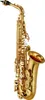 the alto saxophone