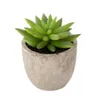 Artificial potted succulent with ECO-friendly pulp pot PVC material Potted Succulent Bonsai Set creative office artificial Flower