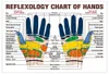 Anel de massagem dos dedos sensorial Anel de acupuntura anel de saúde Massageador de saúde Relax massagem manual Finger Lose Weight1087871