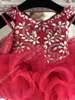 Cupcake Meisje Pageant Jurk 2019 V-hals Glitz Ritzee Roise Donkerrode Zuigeling Toddler Kids Prom Formele Party Jurken Korte Zip Terug