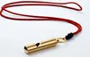 Loud Brass Whistle Portable Emergency Whistle Outdoor Survival Whistle Hiking Tools Party Noise Maker Favors Gift Present gold6105737