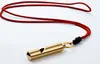 Högt mässingslistan Portable Emergency Whistle Outdoor Survival Whistle vandringsverktyg party buller maker gynnar gåva nuvarande guld2753875